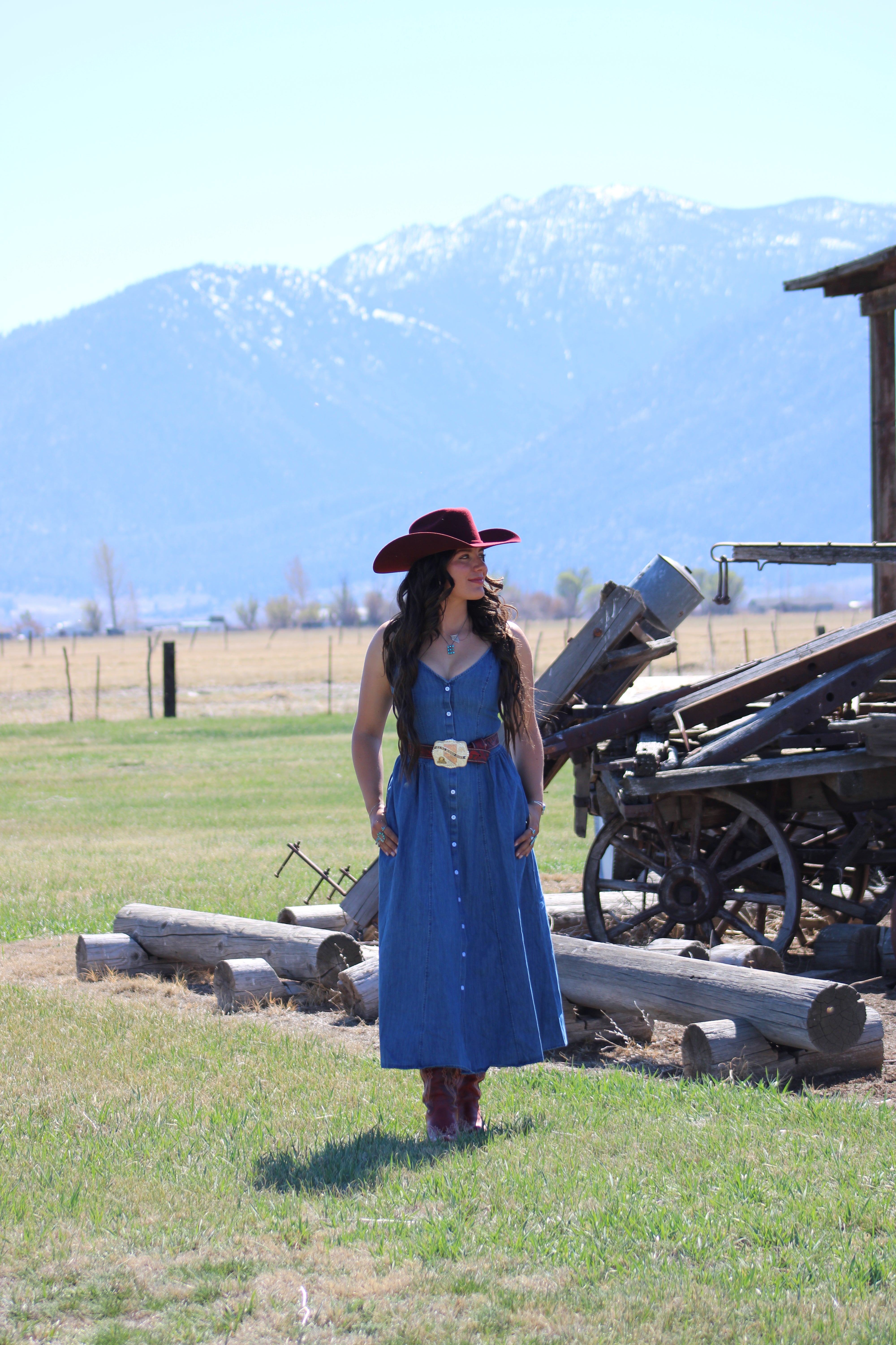 The Blue Jeans Dress Lone Desert Boutique The Blue Jeans Dress Lone Desert Boutique